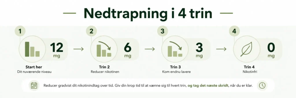 Sådan stopper du med at dampe